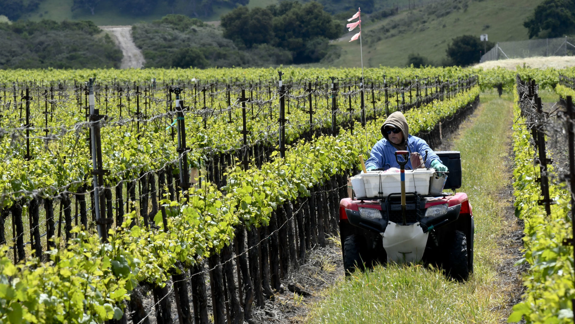 Photos: The beauty of living on the Central Coast